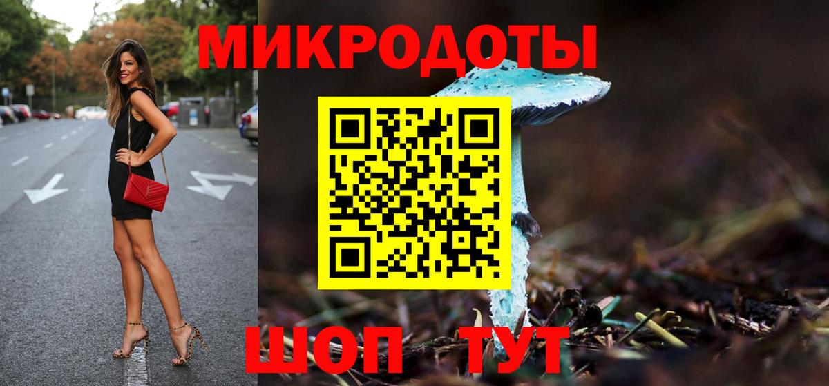 Псилоцибиновые грибы Psilocybe Ачинск