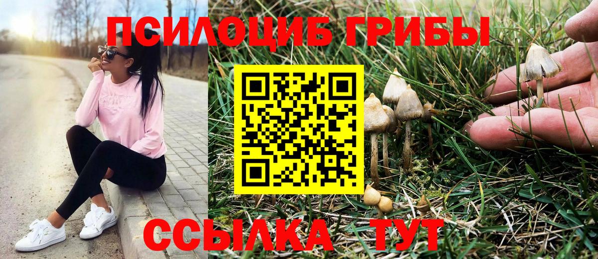 Галлюциногенные грибы Magic Shrooms  Вход с VPN  Ачинск 